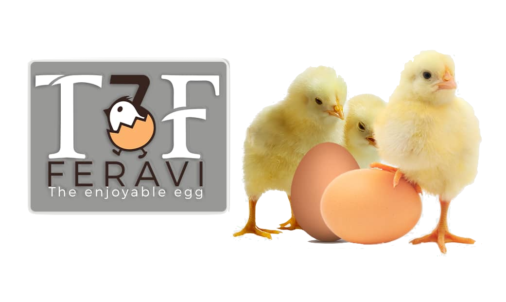 FeraviT3F logo